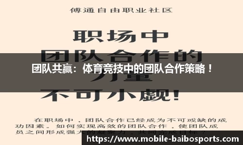 百博体育官网